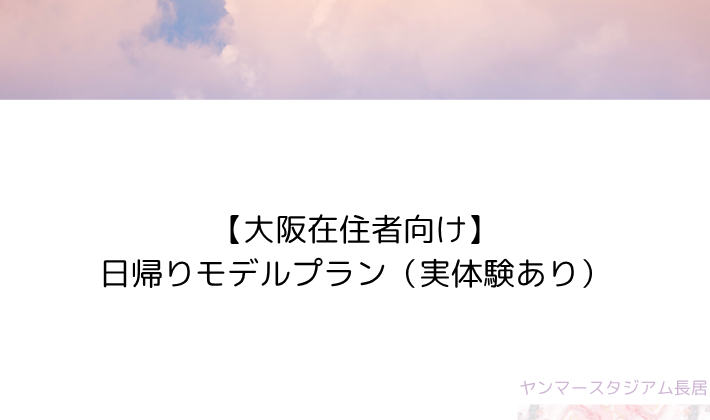 【大阪在住者向け】日帰りモデルプラン(実体験あり)