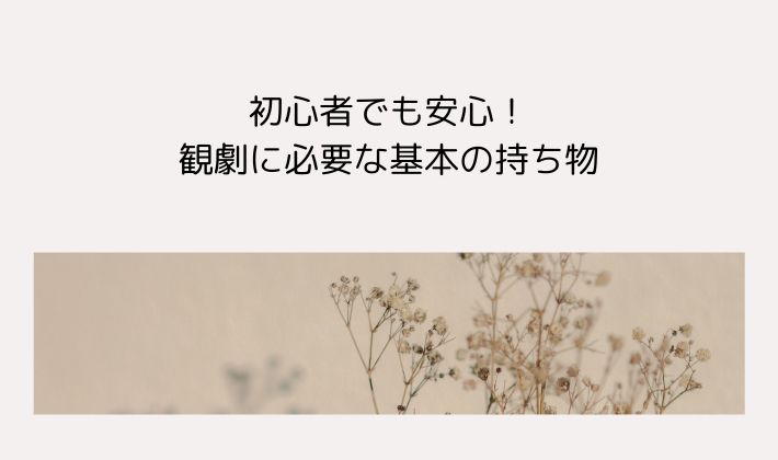 初心者でも安心!観劇に必要な基本の持ち物