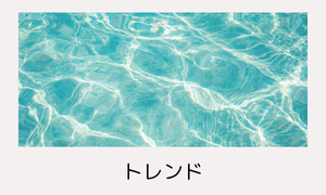 トレンドNEWS