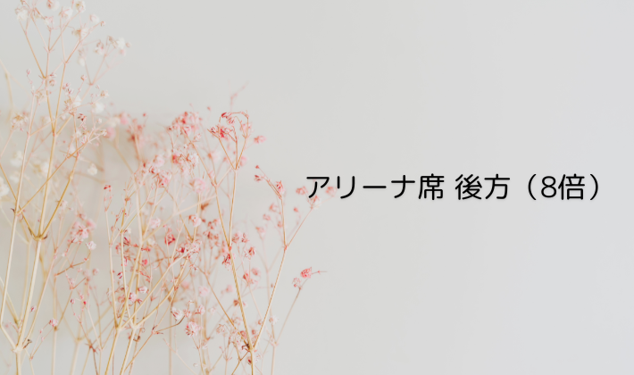 アリーナ席 後方(8倍)
