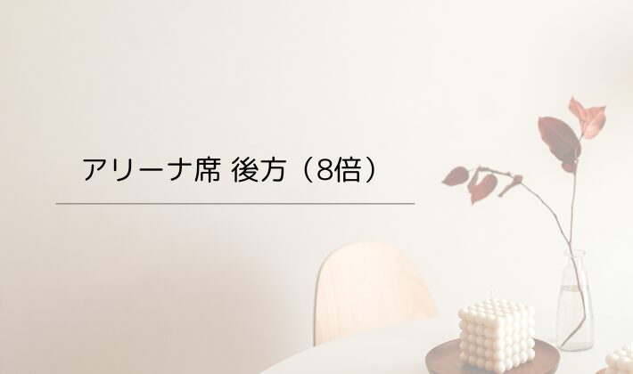 アリーナ席 後方(8倍)