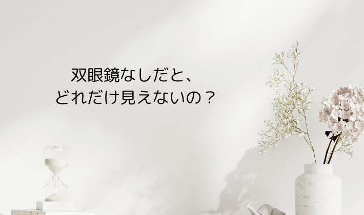 双眼鏡なしだと、どれだけ見えないの?